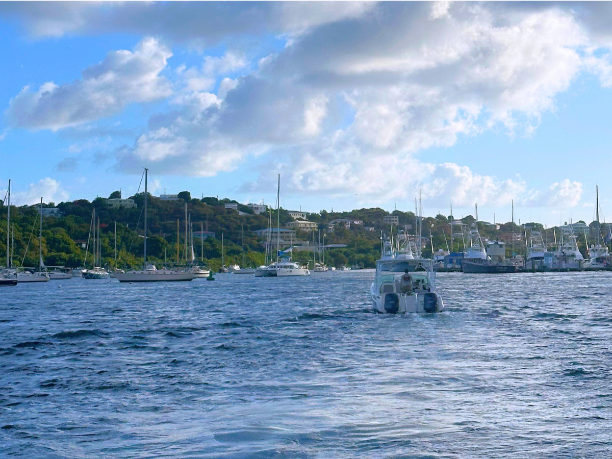 U.S. Virgin Islands in Winter: What to Expect in January & February