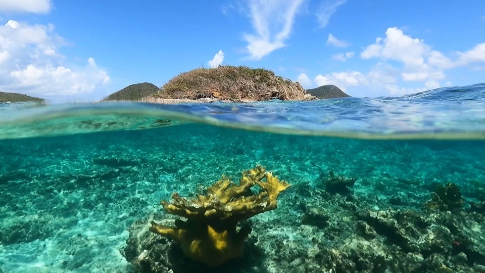Why Winter is the Best Time to Visit the U.S. Virgin Islands