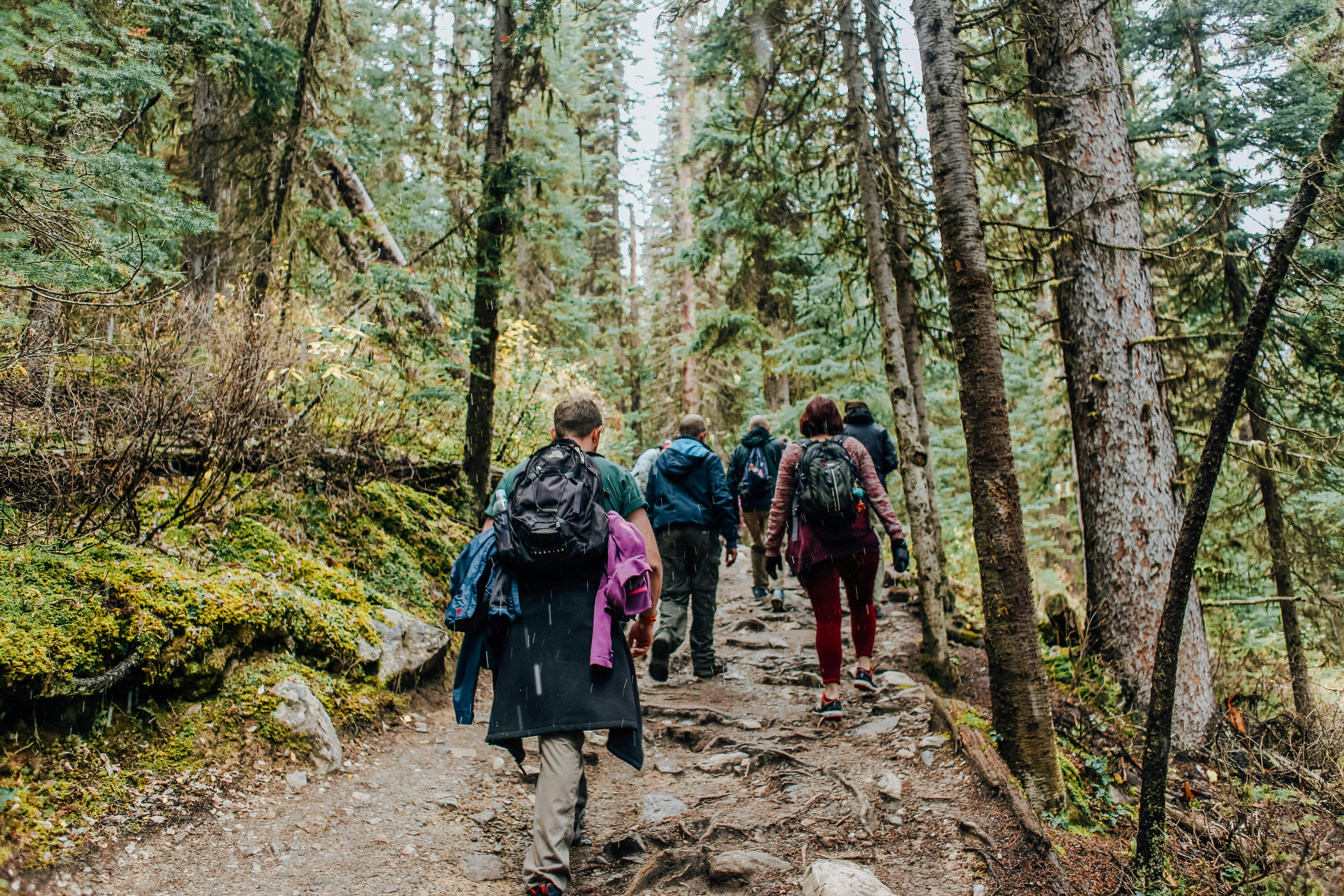 St. John's Best Hikes: Your Ultimate Guide for Tourists